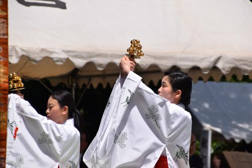讃岐宮例大祭写真5
