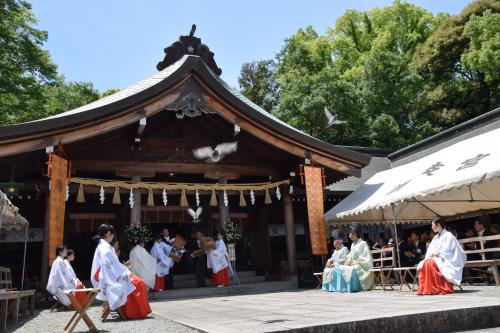 讃岐宮例大祭写真６