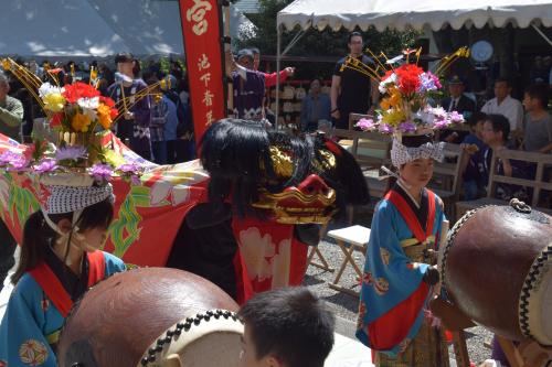 池下獅子組春季例大祭写真2