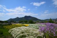 市民集いの丘公園の写真