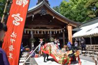 池下獅子組春季例大祭写真１