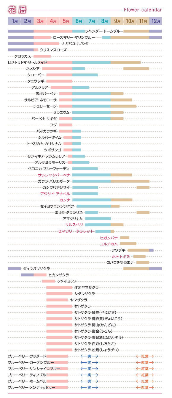 花暦