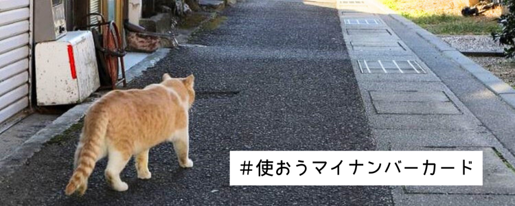 HP下部