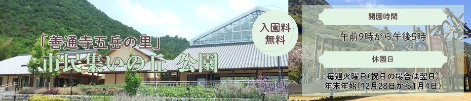 市民集いの丘公園のタイトル画像